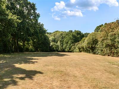 Picture 18